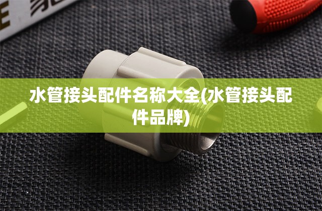 水管接头配件名称大全(水管接头配件品牌) 水管接头配件名称大全(水管接头配件品牌)