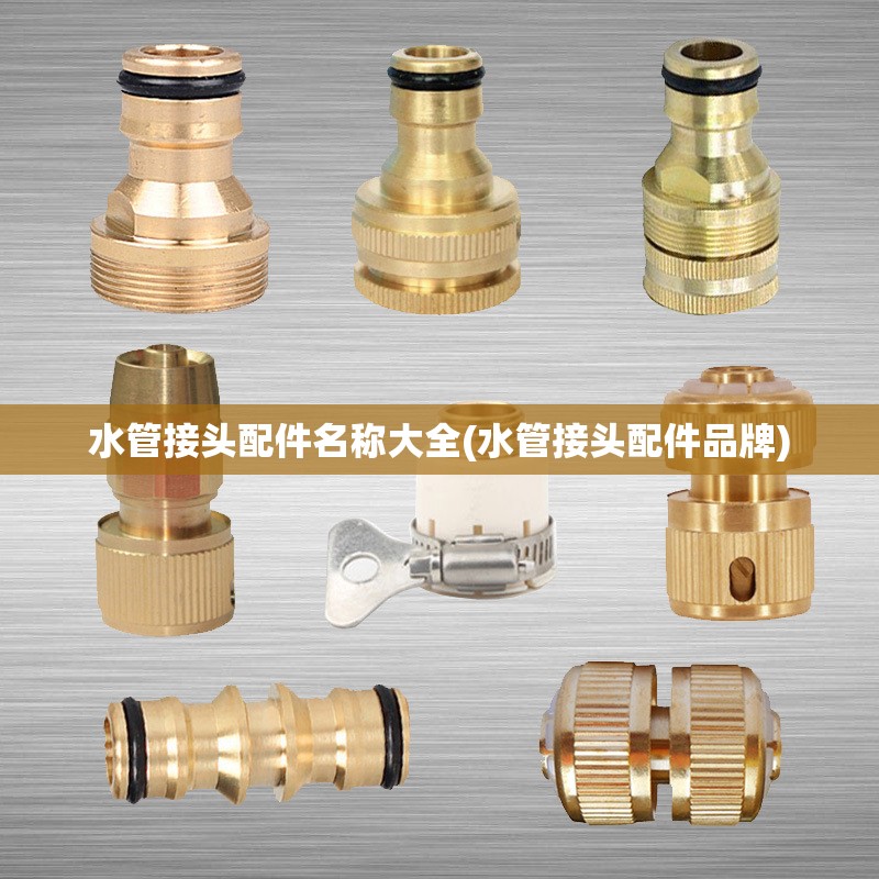 水管接头配件名称大全(水管接头配件品牌) 水管接头配件名称大全(水管接头配件品牌)