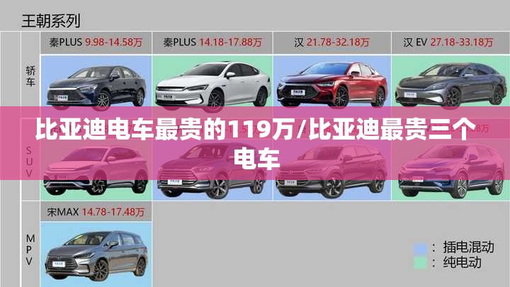 比亚迪电车最贵的119万/比亚迪最贵三个电车 比亚迪电车最贵的119万/比亚迪最贵三个电车