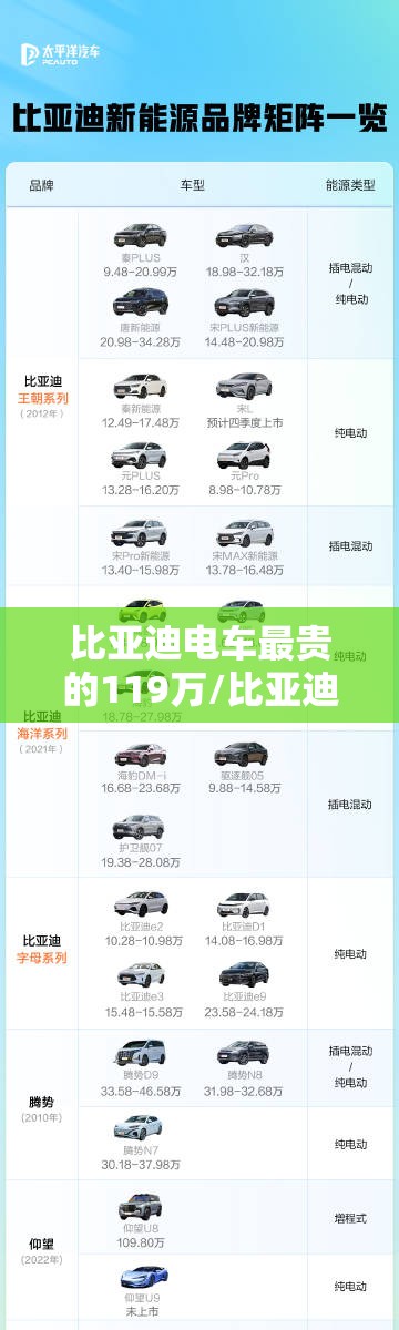 比亚迪电车最贵的119万/比亚迪最贵三个电车 比亚迪电车最贵的119万/比亚迪最贵三个电车