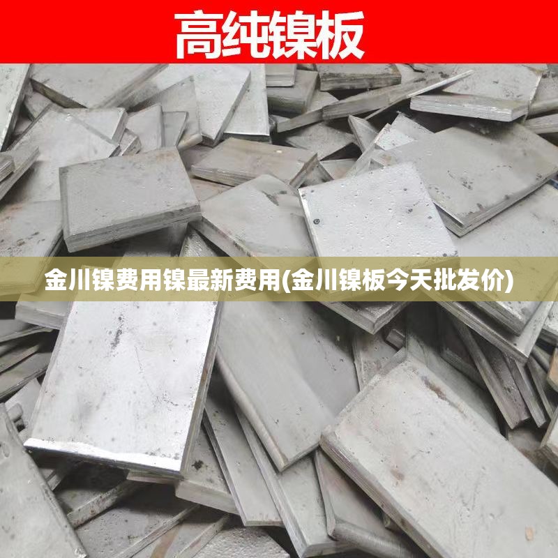 金川镍费用镍最新费用(金川镍板今天批发价) 金川镍费用镍最新费用(金川镍板今天批发价)