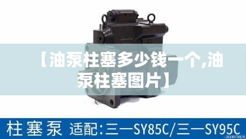 【油泵柱塞多少钱一个,油泵柱塞图片】