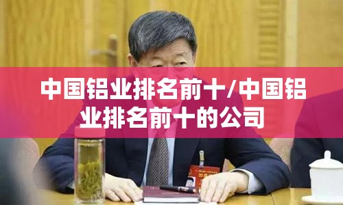 中国铝业排名前十/中国铝业排名前十的公司