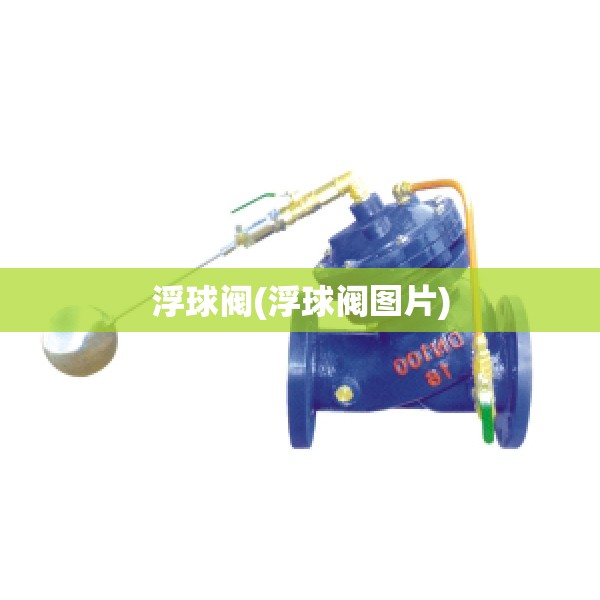 浮球阀(浮球阀图片)