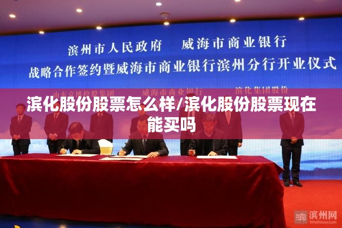 滨化股份股票怎么样/滨化股份股票现在能买吗