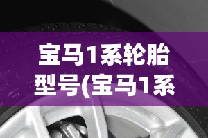 宝马1系轮胎型号(宝马1系轮胎防爆胎多少费用)