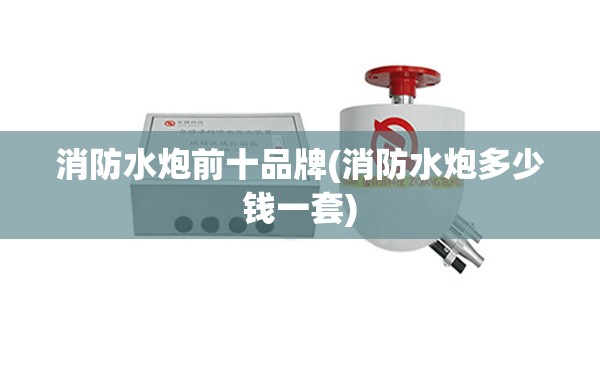 消防水炮前十品牌(消防水炮多少钱一套)