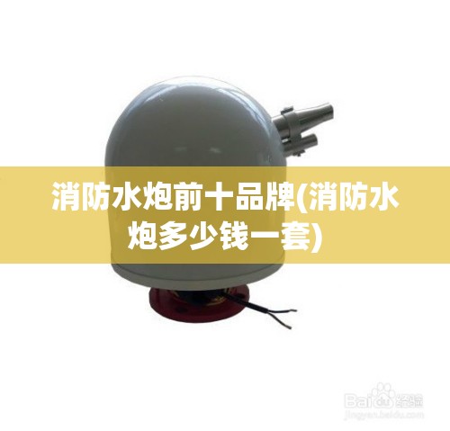 消防水炮前十品牌(消防水炮多少钱一套)
