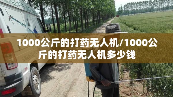 1000公斤的打药无人机/1000公斤的打药无人机多少钱