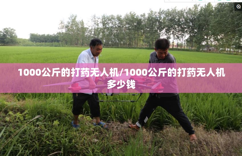 1000公斤的打药无人机/1000公斤的打药无人机多少钱