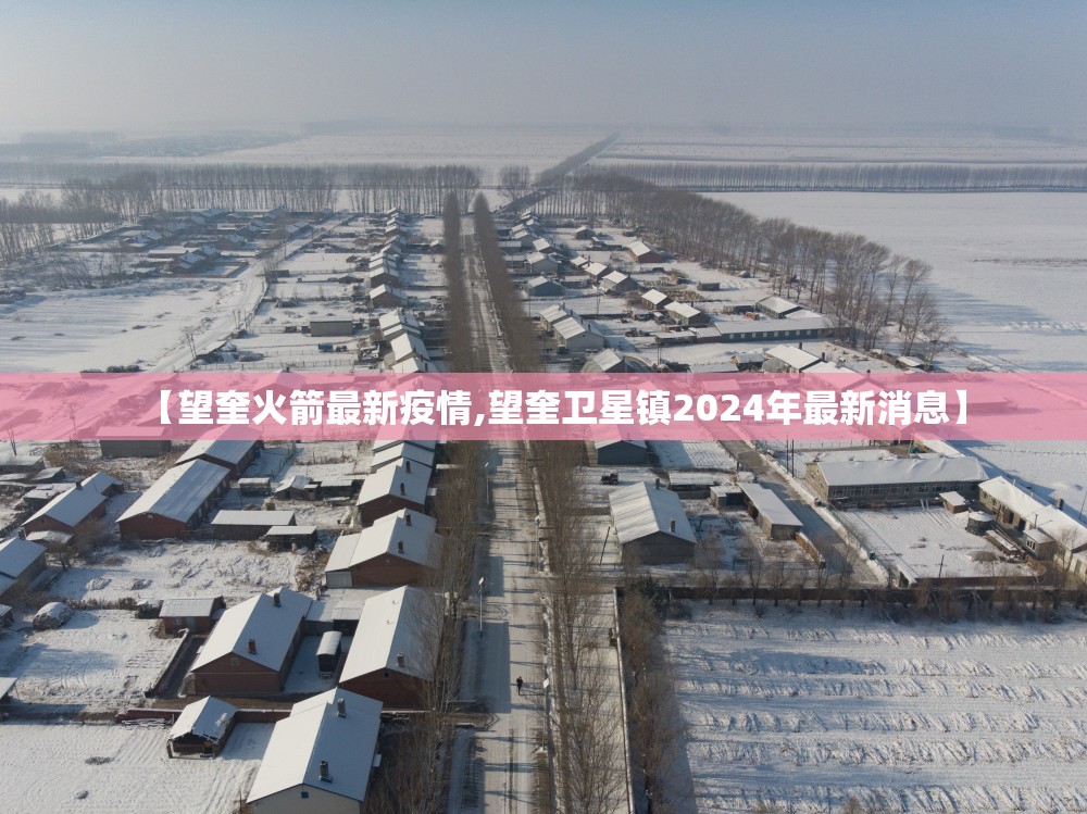 【望奎火箭最新疫情,望奎卫星镇2024年最新消息】