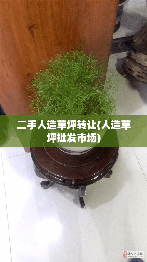 二手人造草坪转让(人造草坪批发市场) 二手人造草坪转让(人造草坪批发市场)