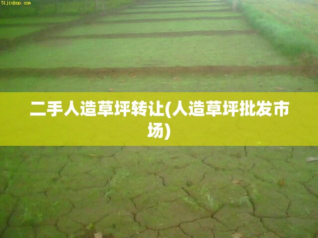 二手人造草坪转让(人造草坪批发市场) 二手人造草坪转让(人造草坪批发市场)