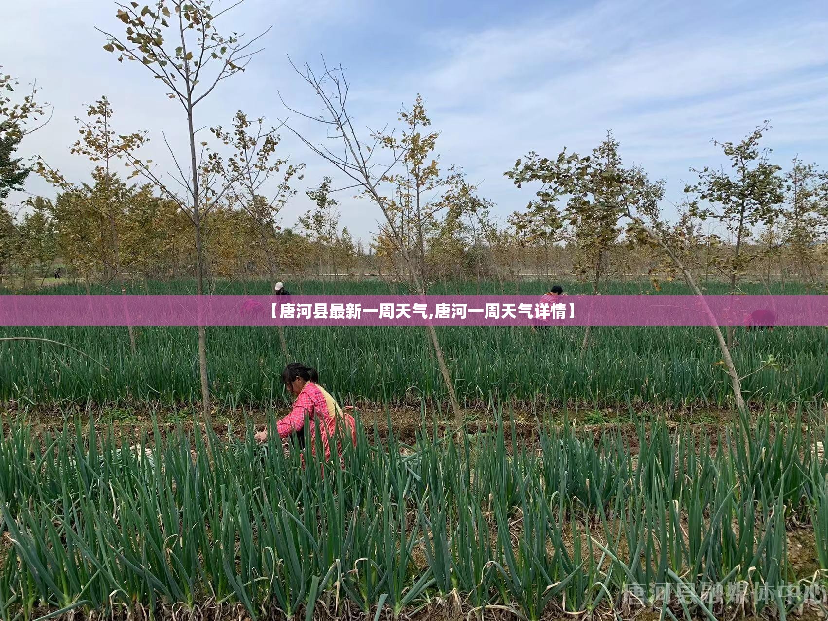 【唐河县最新一周天气,唐河一周天气详情】 【唐河县最新一周天气,唐河一周天气详情】
