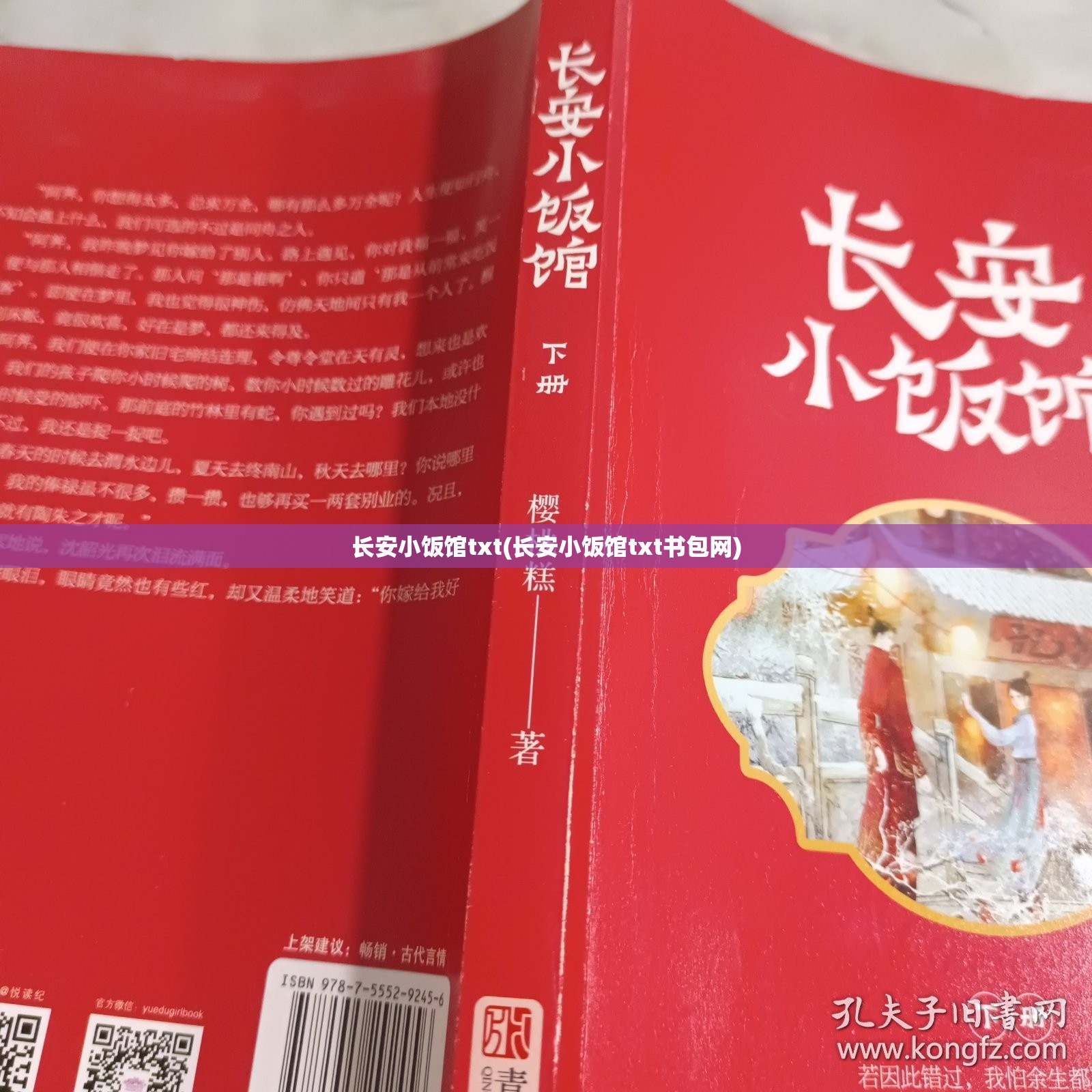 长安小饭馆txt(长安小饭馆txt书包网)