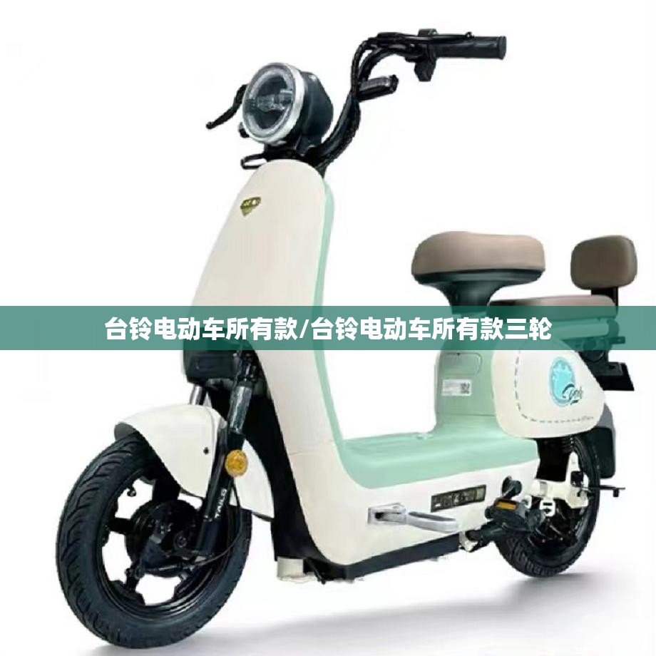 台铃电动车所有款/台铃电动车所有款三轮