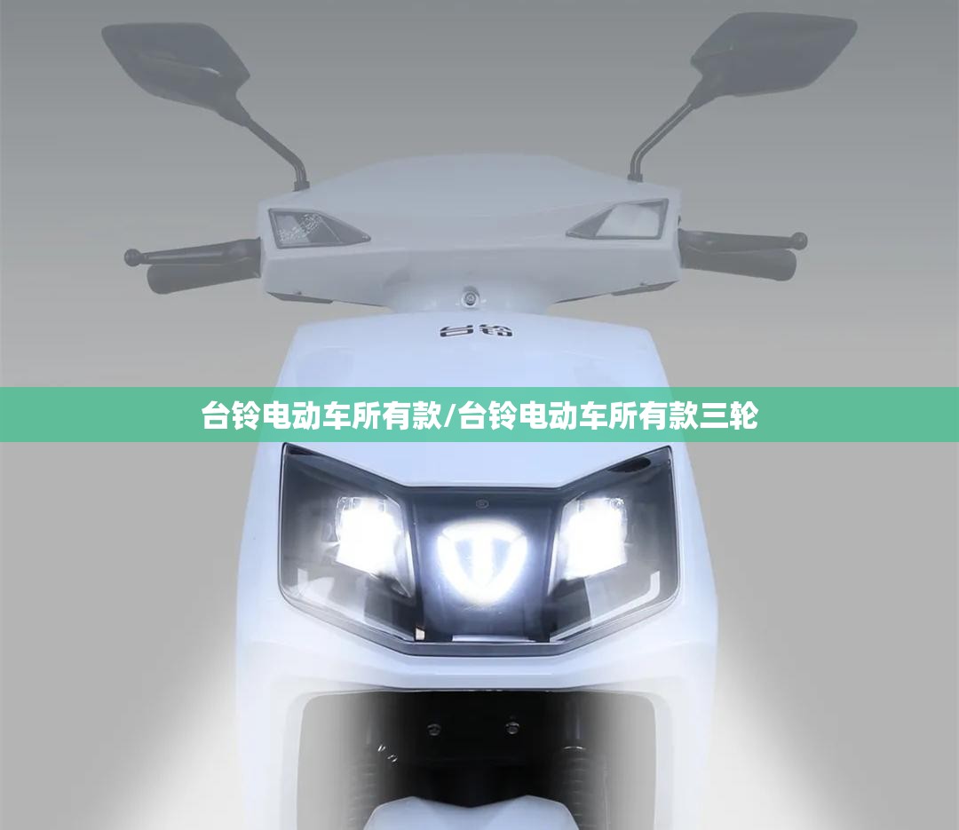 台铃电动车所有款/台铃电动车所有款三轮