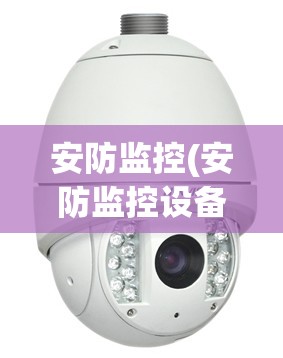 安防监控(安防监控设备) 安防监控(安防监控设备)