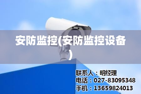 安防监控(安防监控设备) 安防监控(安防监控设备)