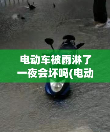 电动车被雨淋了一夜会坏吗(电动车被雨淋了一夜会坏吗) 电动车被雨淋了一夜会坏吗(电动车被雨淋了一夜会坏吗)