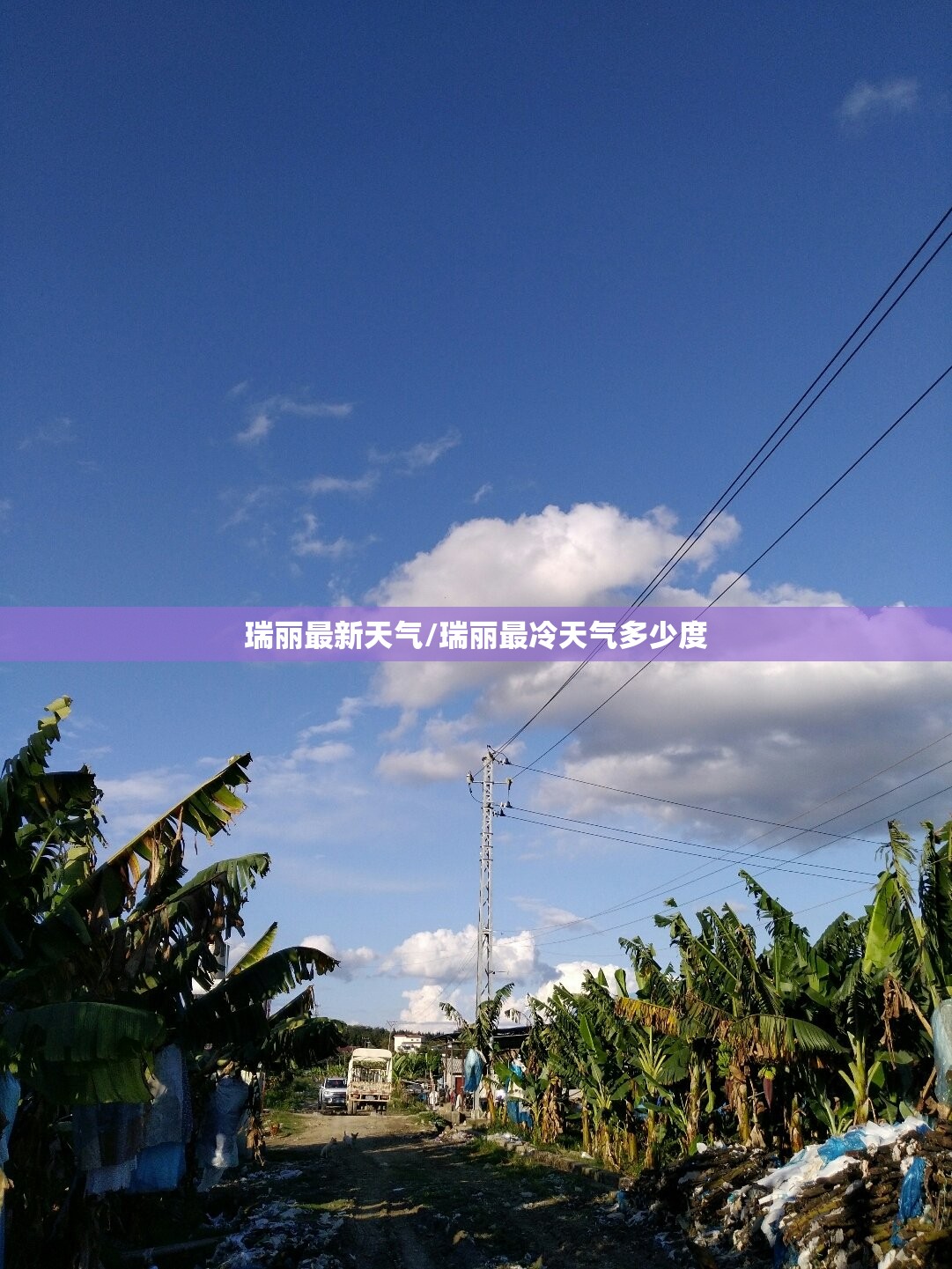 瑞丽最新天气/瑞丽最冷天气多少度