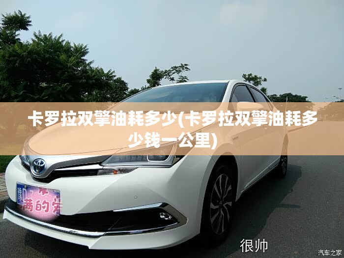 卡罗拉双擎油耗多少(卡罗拉双擎油耗多少钱一公里)
