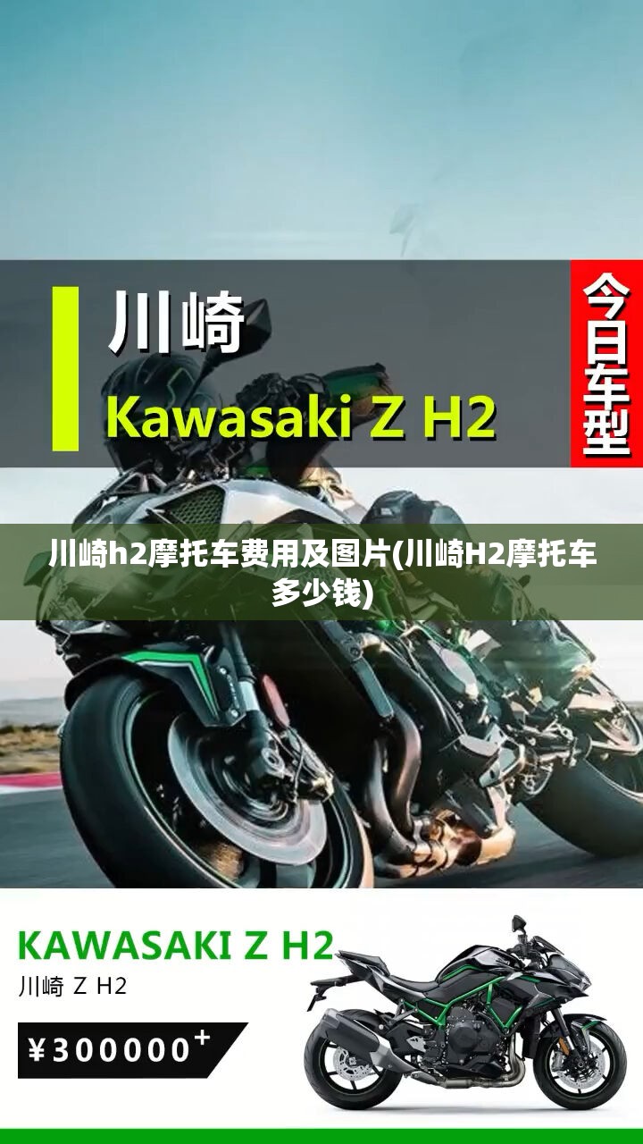 川崎h2摩托车费用及图片(川崎H2摩托车多少钱)