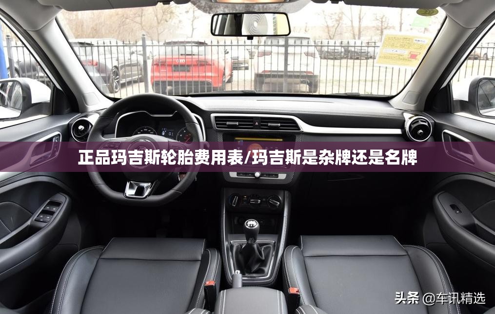 正品玛吉斯轮胎费用表/玛吉斯是杂牌还是名牌