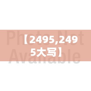 【2495,2495大写】