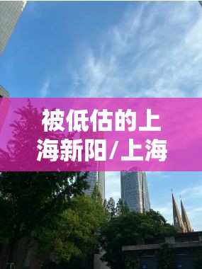 被低估的上海新阳/上海新阳未来潜力 被低估的上海新阳/上海新阳未来潜力