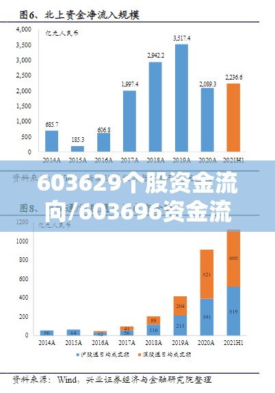 603629个股资金流向/603696资金流向全览