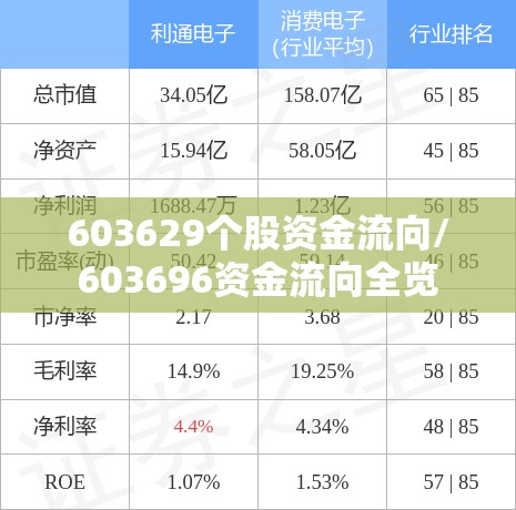 603629个股资金流向/603696资金流向全览