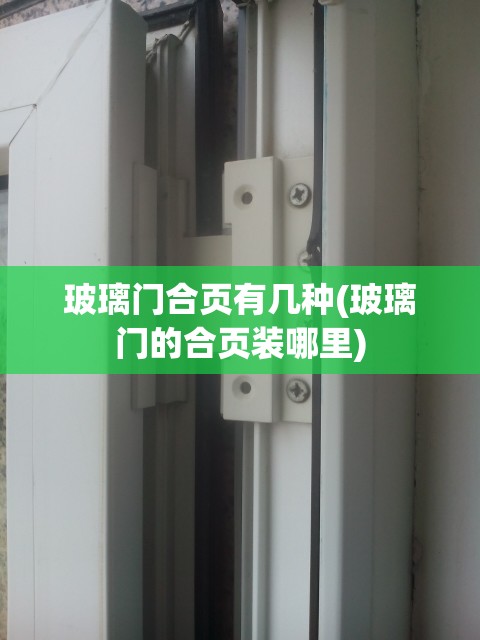 玻璃门合页有几种(玻璃门的合页装哪里) 玻璃门合页有几种(玻璃门的合页装哪里)