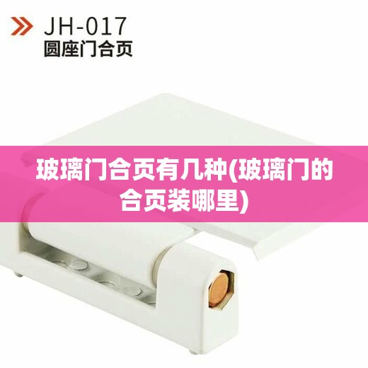 玻璃门合页有几种(玻璃门的合页装哪里) 玻璃门合页有几种(玻璃门的合页装哪里)