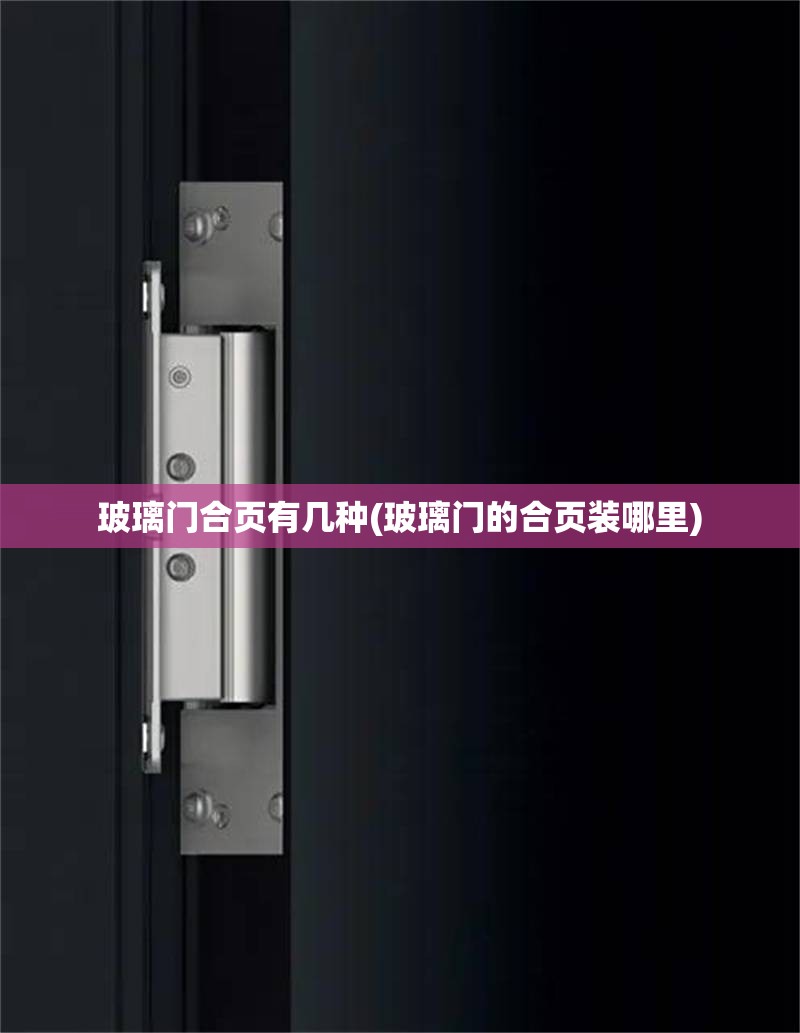 玻璃门合页有几种(玻璃门的合页装哪里) 玻璃门合页有几种(玻璃门的合页装哪里)