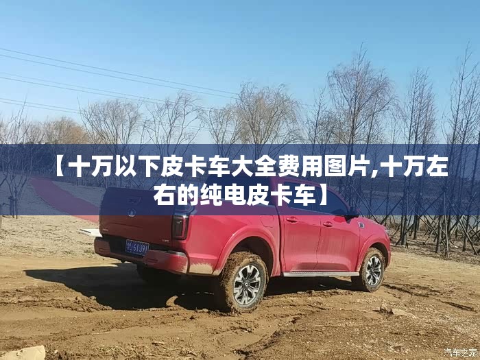 【十万以下皮卡车大全费用图片,十万左右的纯电皮卡车】