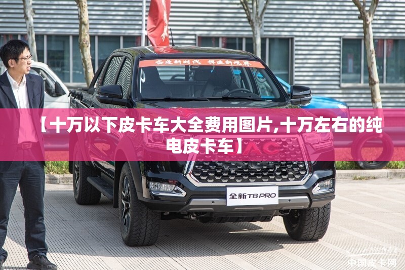 【十万以下皮卡车大全费用图片,十万左右的纯电皮卡车】