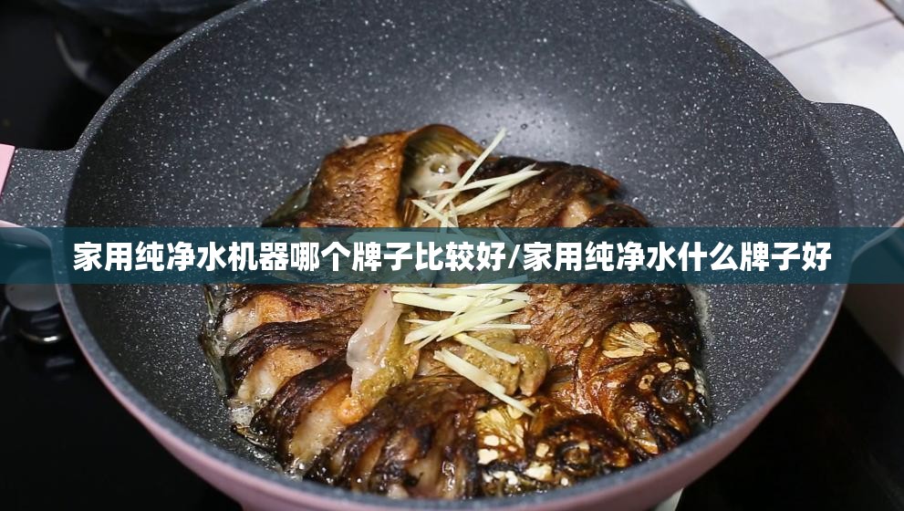 家用纯净水机器哪个牌子比较好/家用纯净水什么牌子好 家用纯净水机器哪个牌子比较好/家用纯净水什么牌子好