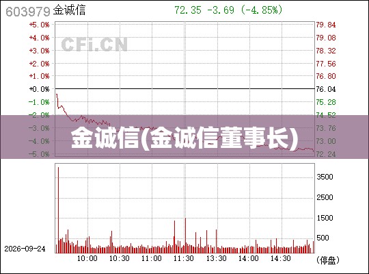金诚信(金诚信董事长)