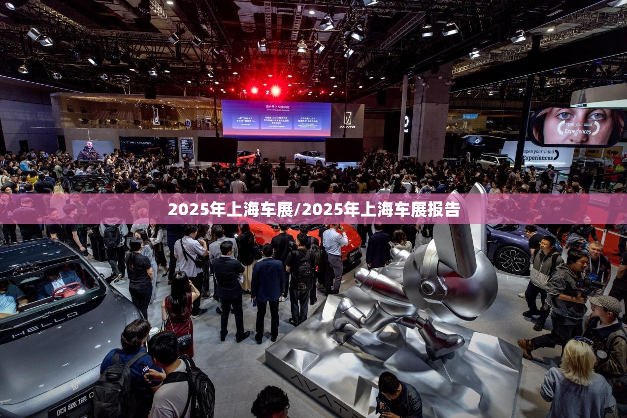 2025年上海车展/2025年上海车展报告