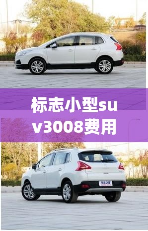 标志小型suv3008费用(标志4008费用)