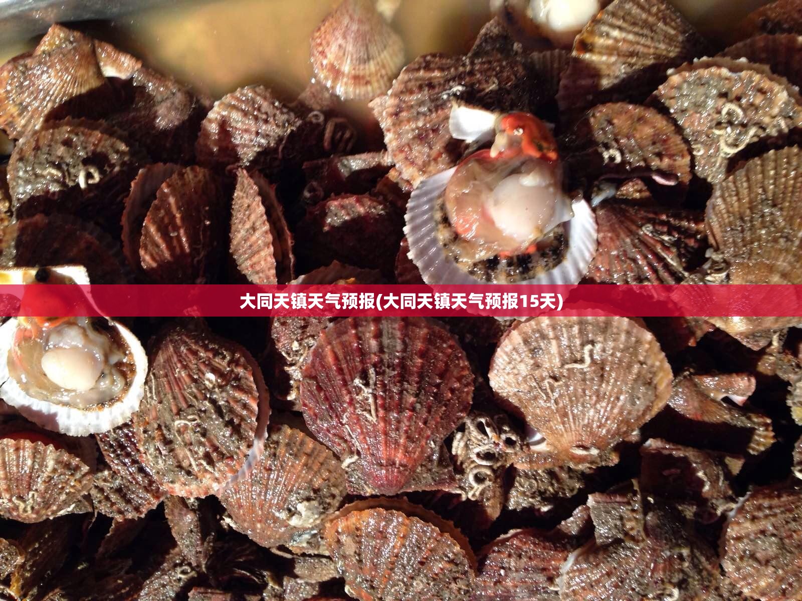 大同天镇天气预报(大同天镇天气预报15天)
