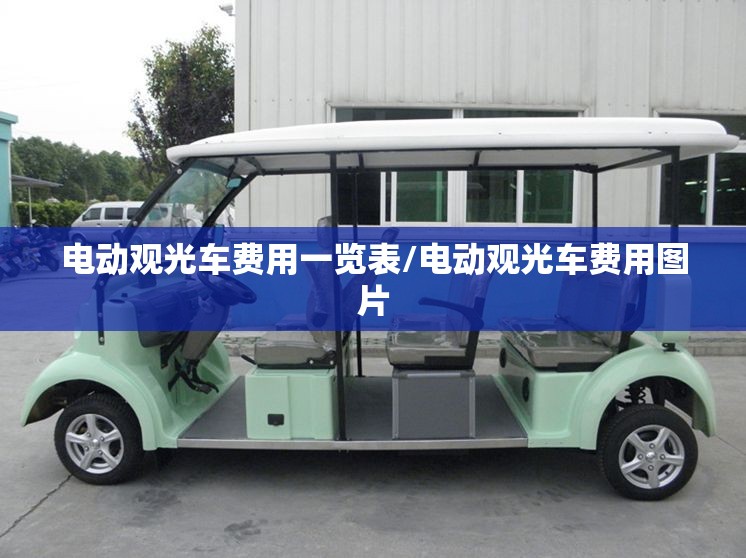 电动观光车费用一览表/电动观光车费用图片