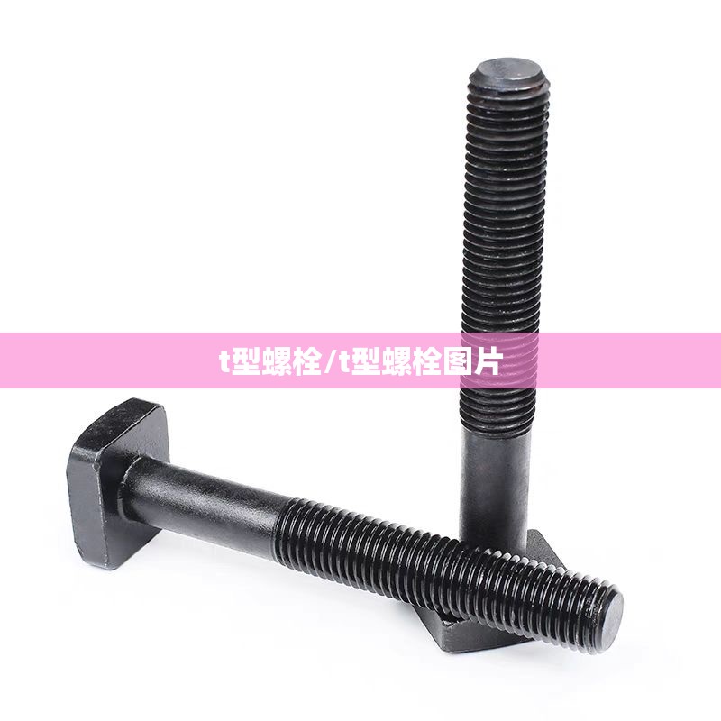 t型螺栓/t型螺栓图片