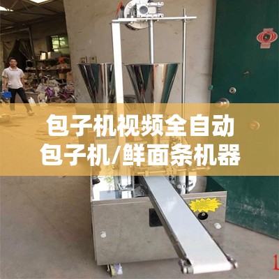 包子机视频全自动包子机/鲜面条机器全自动费用 包子机视频全自动包子机/鲜面条机器全自动费用