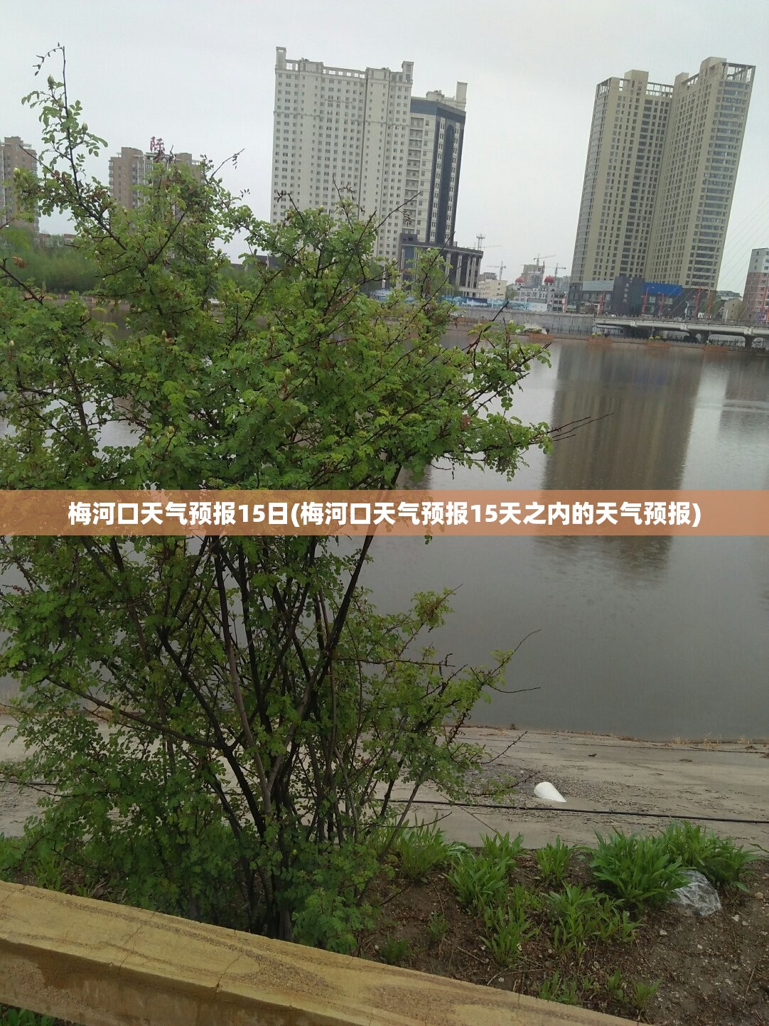梅河口天气预报15日(梅河口天气预报15天之内的天气预报)