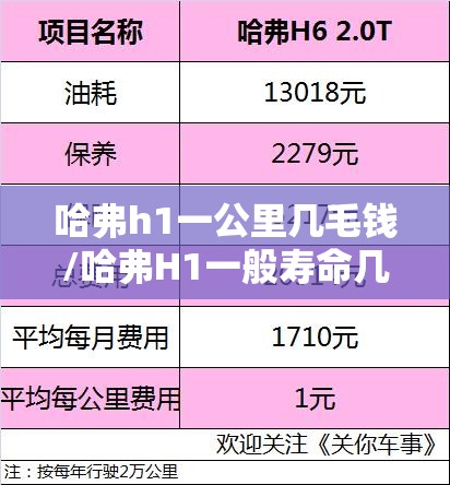 哈弗h1一公里几毛钱/哈弗H1一般寿命几年