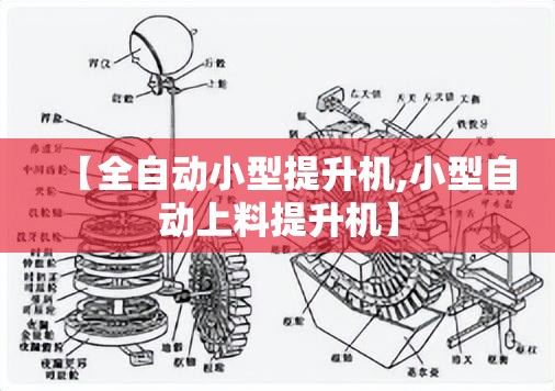 【全自动小型提升机,小型自动上料提升机】