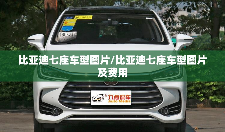 比亚迪七座车型图片/比亚迪七座车型图片及费用