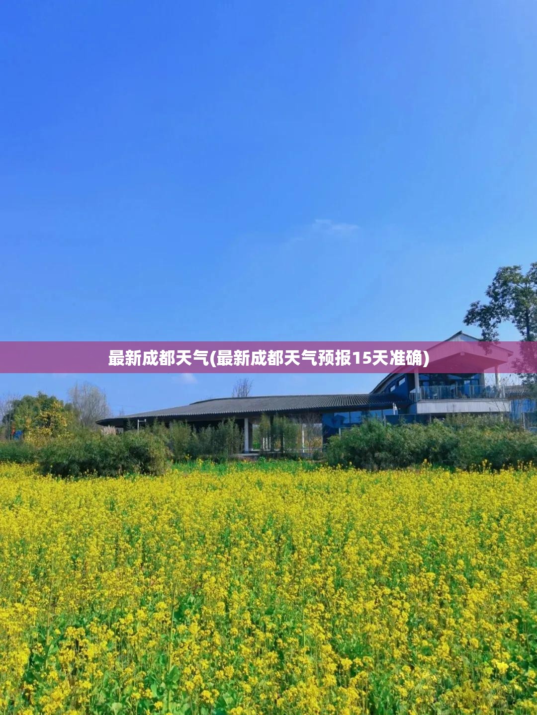【哪里能买到库存哈弗h5,哈弗h5库存车】